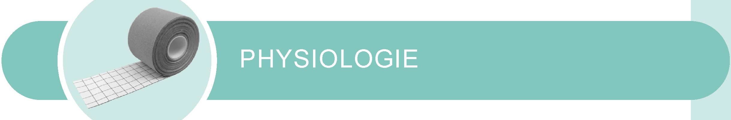 Seitenheader_Physiologie.
